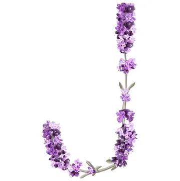 Vector image of the capital letter J of the English alphabet in the form of l Stock Illustration