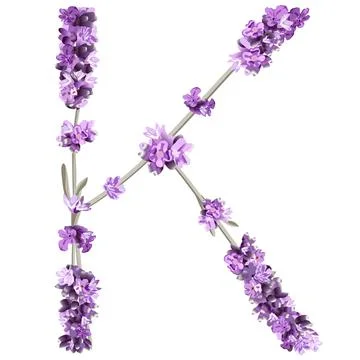 Vector image of the capital letter K of the English alphabet in the form of l Stock Illustration