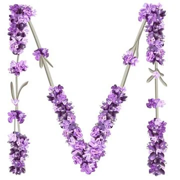 Vector image of the capital letter M of the English alphabet in the form of l Stock Illustration