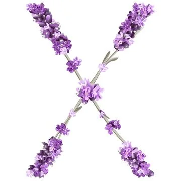 Vector image of the capital letter X of the English alphabet in the form of l Stock Illustration