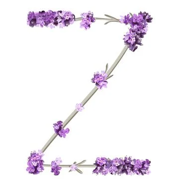 Vector image of the capital letter Z of the English alphabet in the form of l Stock Illustration