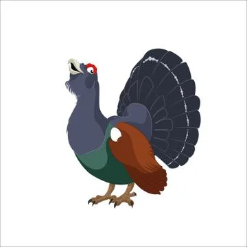 Vector image of cartoon funny wood grouse Stock Illustration