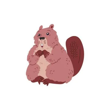 Vector image of a charming scared brown beaver with a flat tail and two teeth Illustrazione stock