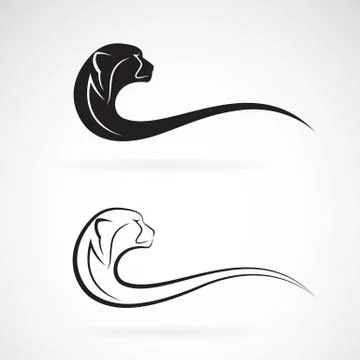 Vector image of an cheetah design on white background Stock Illustration