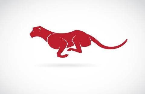 Vector image of an cheetah on white background Stock Illustration