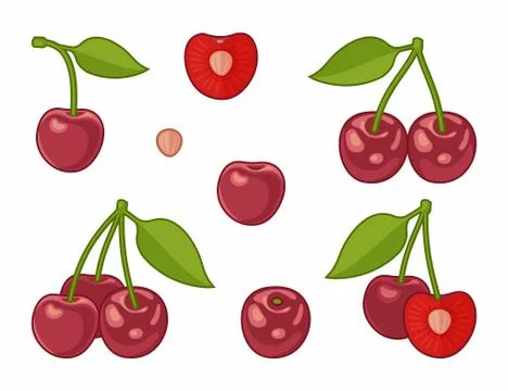Vector image of cherries Stock Illustration