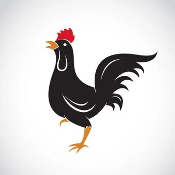 Vector image of an chicken design on white background Stock Illustration