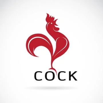 Vector image of an cock design on white background Illustration