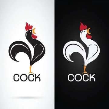 Vector image of a cock design on white background and black background, Logo, Stock Illustration