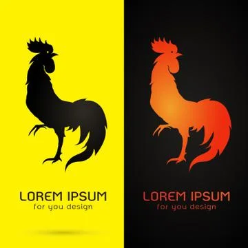 Vector image of cock design on yellow background and black background, Logo,  Illustration