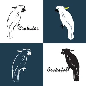 Vector image of an cockatoo Stock Illustration