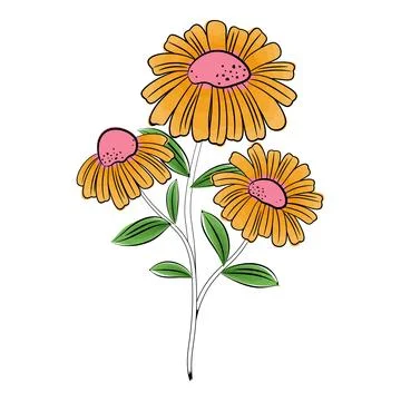 Vector image of color three chamomile flowers Stock Illustration