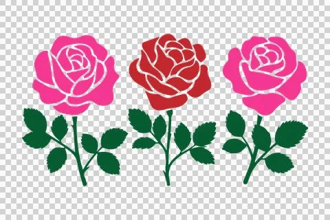 A vector image of a colorful rose flower icon set with a white background Stock Illustration