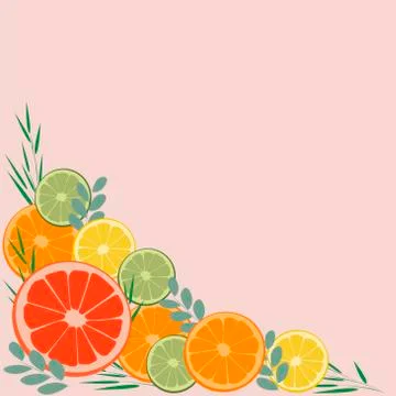 Vector image of a corner of the frame of the citrus. For decoration of postcards Stock Illustration