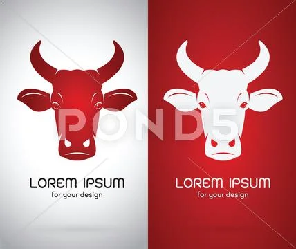 Vector image of an cow head design on white background and red background, Lo Stock Illustration