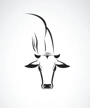 Vector image of an cow head on a white background Stock Illustration