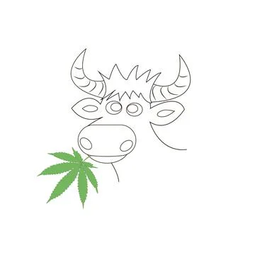 Vector image of a cow's head with horns and a cannabis leaf in its mouth. Stock Illustration