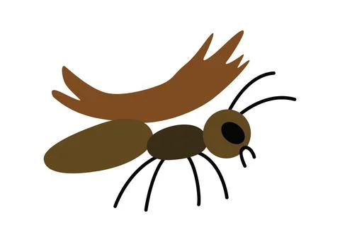 Vector image of a cute, colorful ant with branch. Features of an ants anatomy Stock Illustration