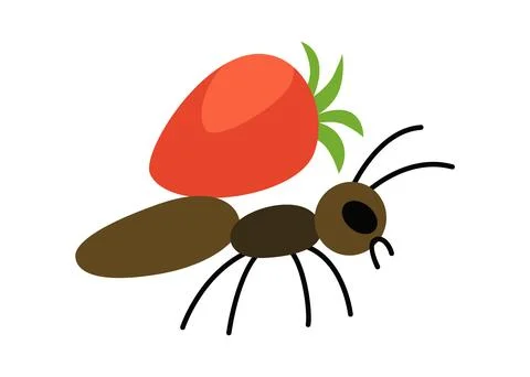 Vector image of a cute, colorful ant with strawberry. Features of an ants Stock Illustration