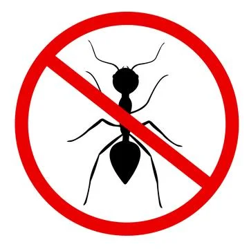 Vector image of a cute, colorful ant. This illustration showcases the intric Stock Photos