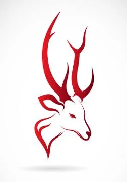 Vector image of an deer head on a white background 스톡 일러스트
