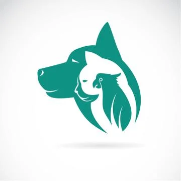 Vector image of an dog cat and bird on white background. Animal design Stock Illustration