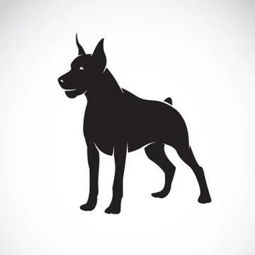 Vector image of an dog (great dane) Stock Illustration