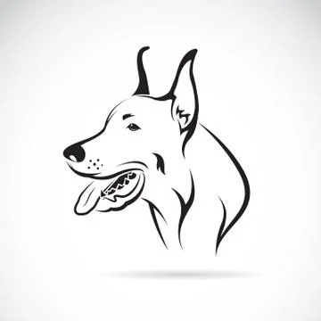 Vector image of an dog (great dane) Stock Illustration