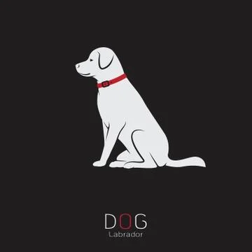 Vector image of an dog labrador on a black background Illustrazione stock