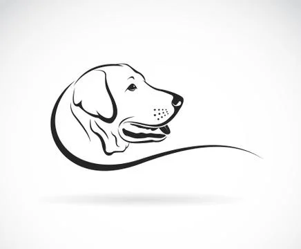 Vector image of an dog labrador head on white background Stock Illustration