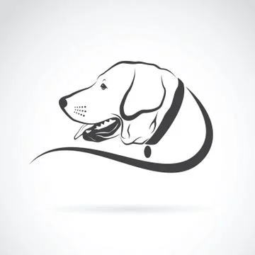 Vector image of an dog labrador head on white background Illustrazione stock