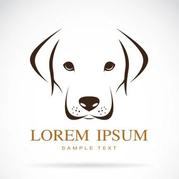 Vector image of an dog labrador Stock Illustration