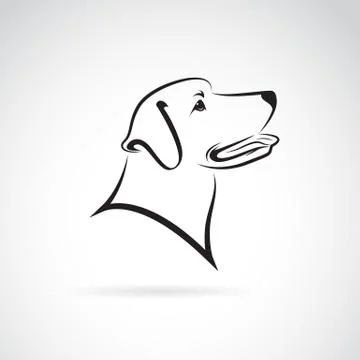 Vector image of an dog labrador on white background Illustrazione stock