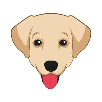 Vector image of dog labrador on white background, Vector. Stock Illustration