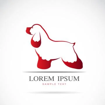 Vector image of an dog poodle Stock Illustration