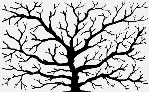 Vector image of dry tree silhouette on white background. EPS10. Stock Illustration
