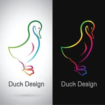 Vector image of an duck design on white background and black background, Logo Stock Illustration