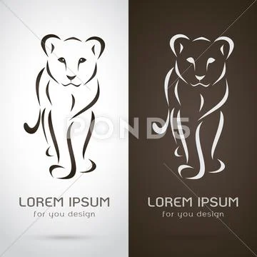 Vector image of a female lion design on white background and brown background Stock Illustration