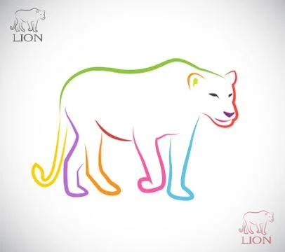 Vector image of an female lion 스톡 일러스트