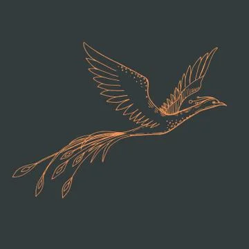 Vector image of a fiery silhouette firebird on a dark background Stock Illustration