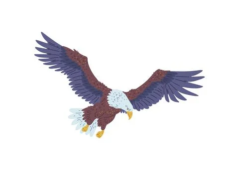 The vector image of a flying bald eagle with wings, beak and tail standing Stock Illustration