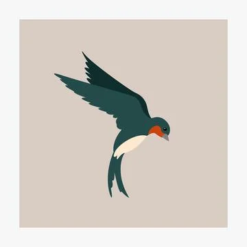 Vector image of flying Swallow bird. Stock Illustration