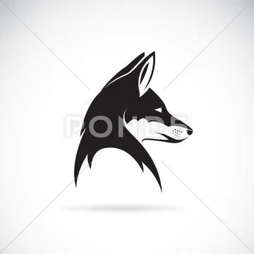 Vector image of an fox head Stock Illustration