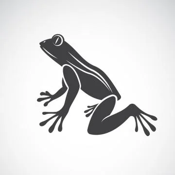 Vector image of a frog design on white background Stock Illustration