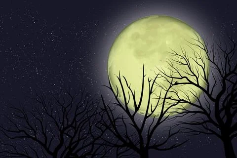 Vector image of full moon view behind bare tree branches. Stockillustratie