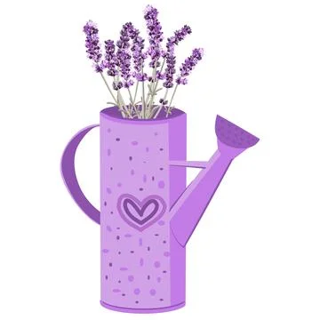 Vector image of a garden watering can with a bouquet of lavender flowers 스톡 일러스트