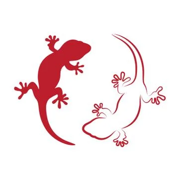 Vector image of an gecko on white background Stock Illustration