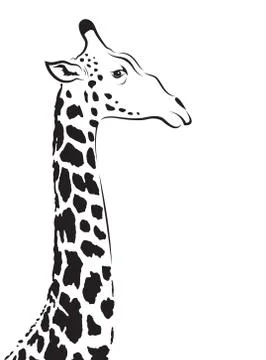 Vector image of an giraffe head Stock Illustration