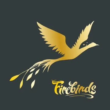Vector image of a golden flying firebird and the inscription "Firebirds" Stock Illustration
