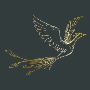 Vector image of an golden silhouette of a phoenix on a dark background Stock Illustration